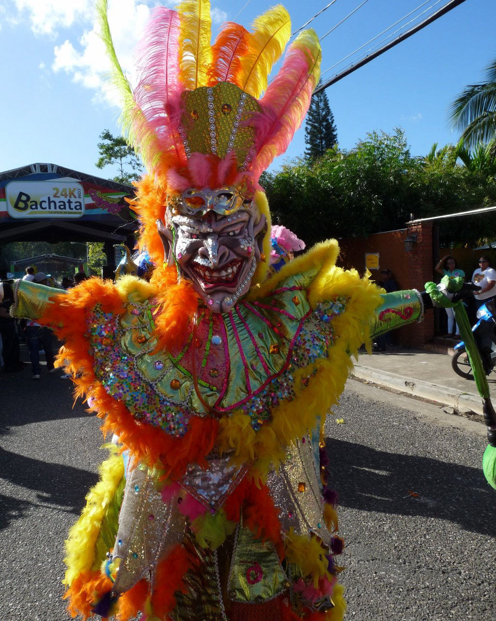 Carnaval Vegano 2015