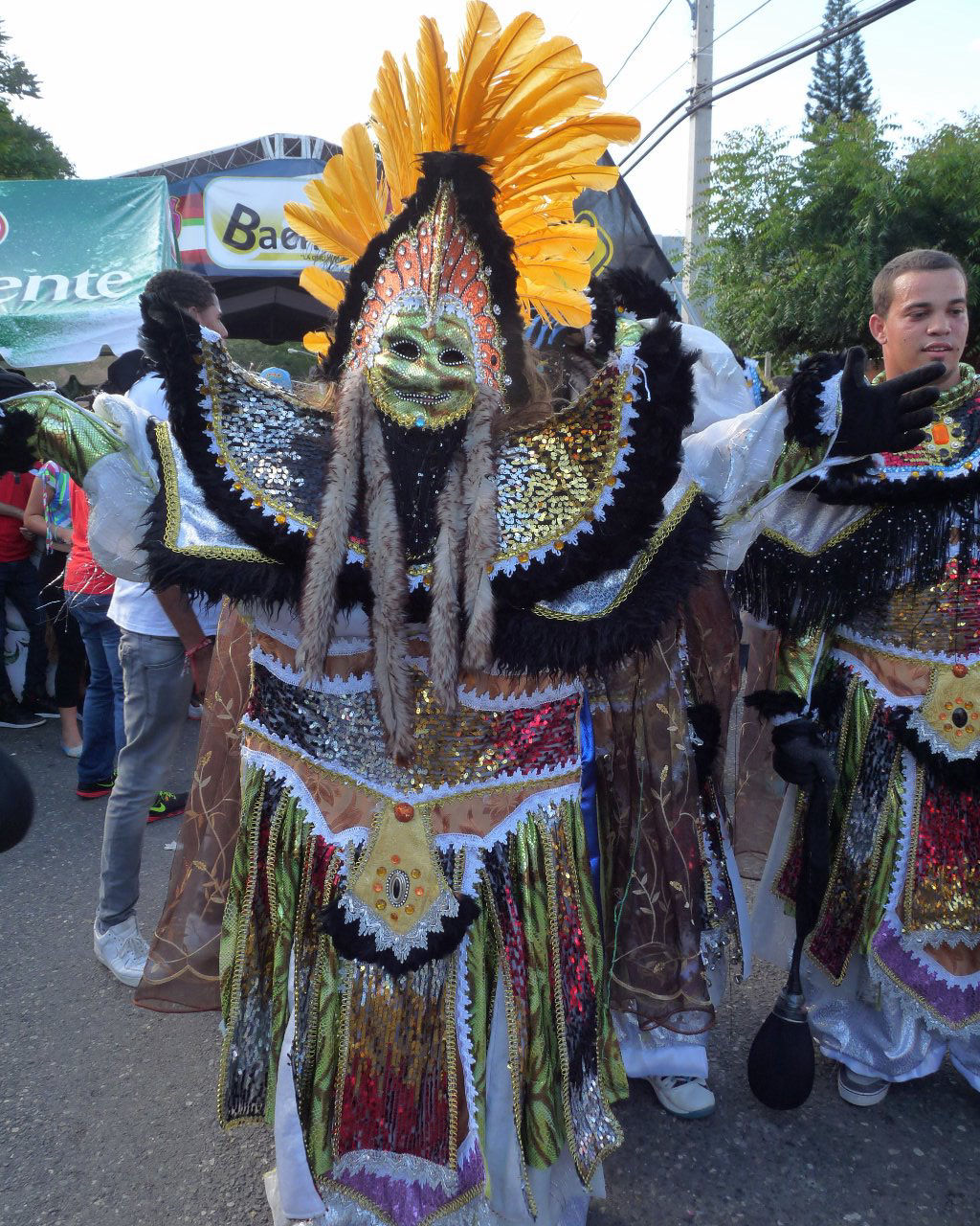 Carnaval Vegano 2015