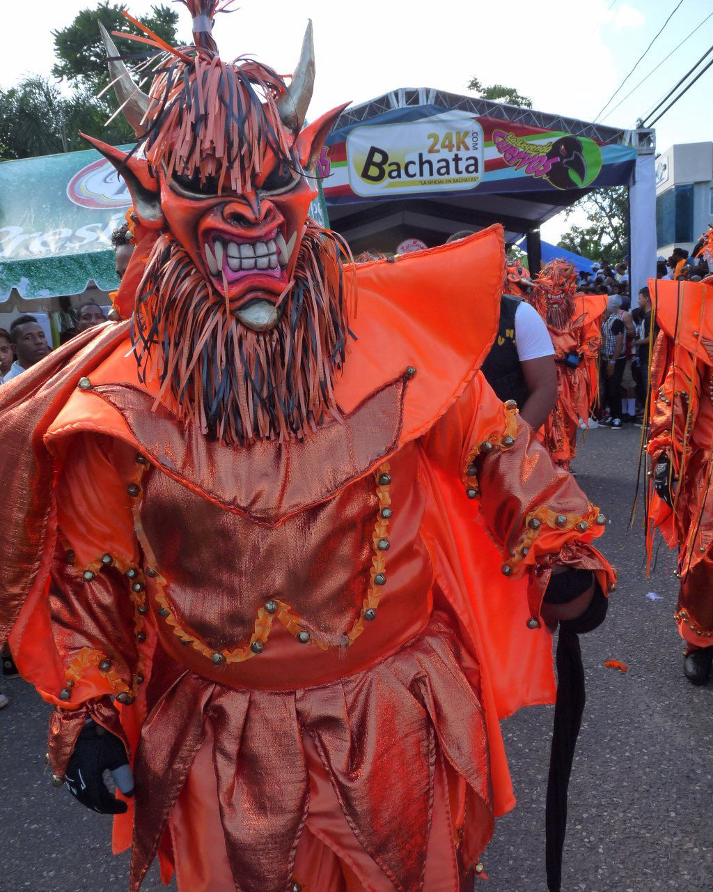 Carnaval Vegano 2015