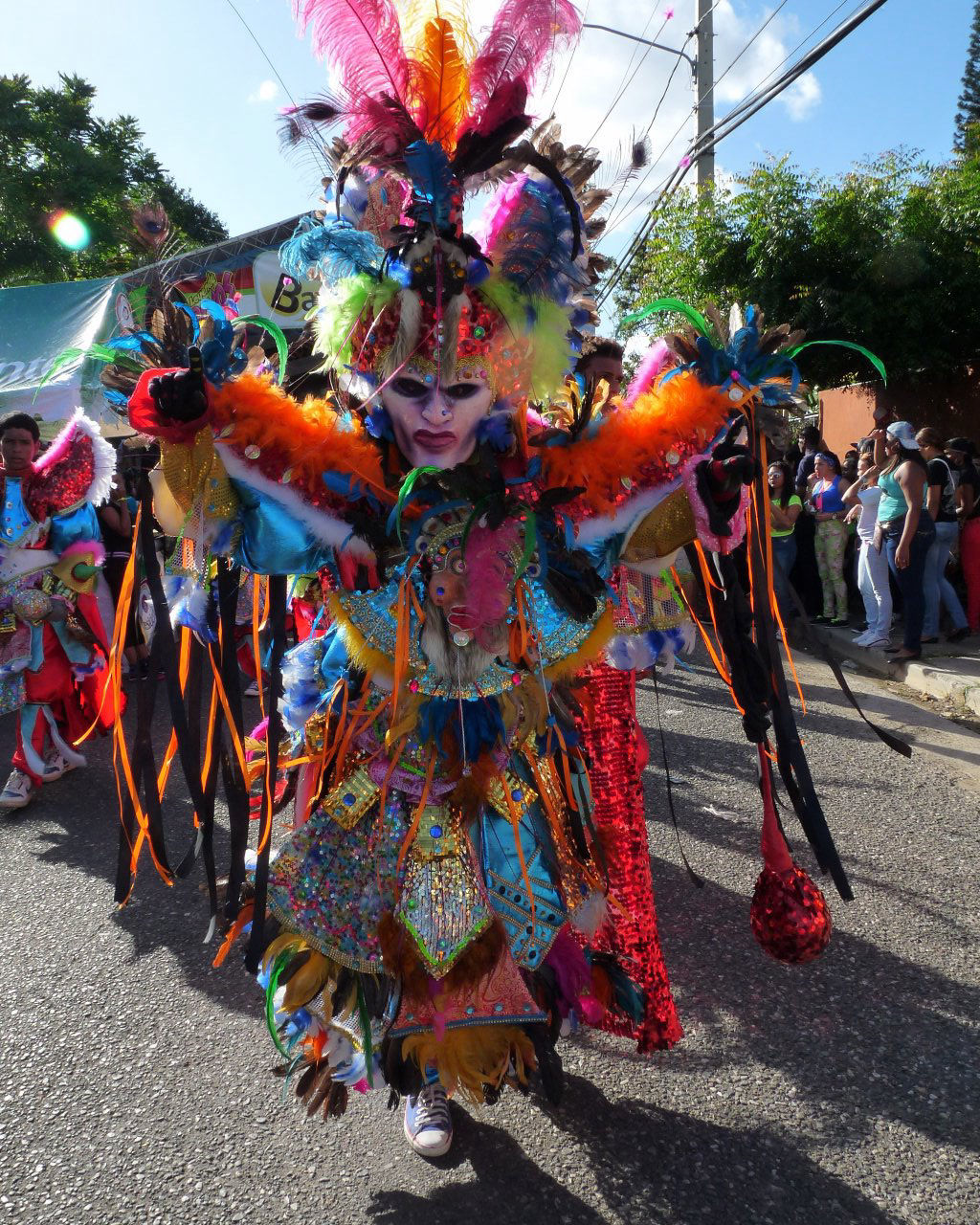 Carnaval Vegano 2015