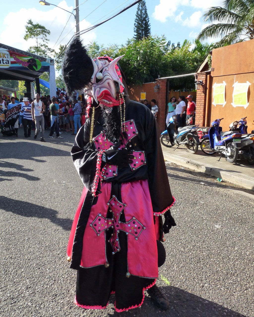 Carnaval Vegano 2015