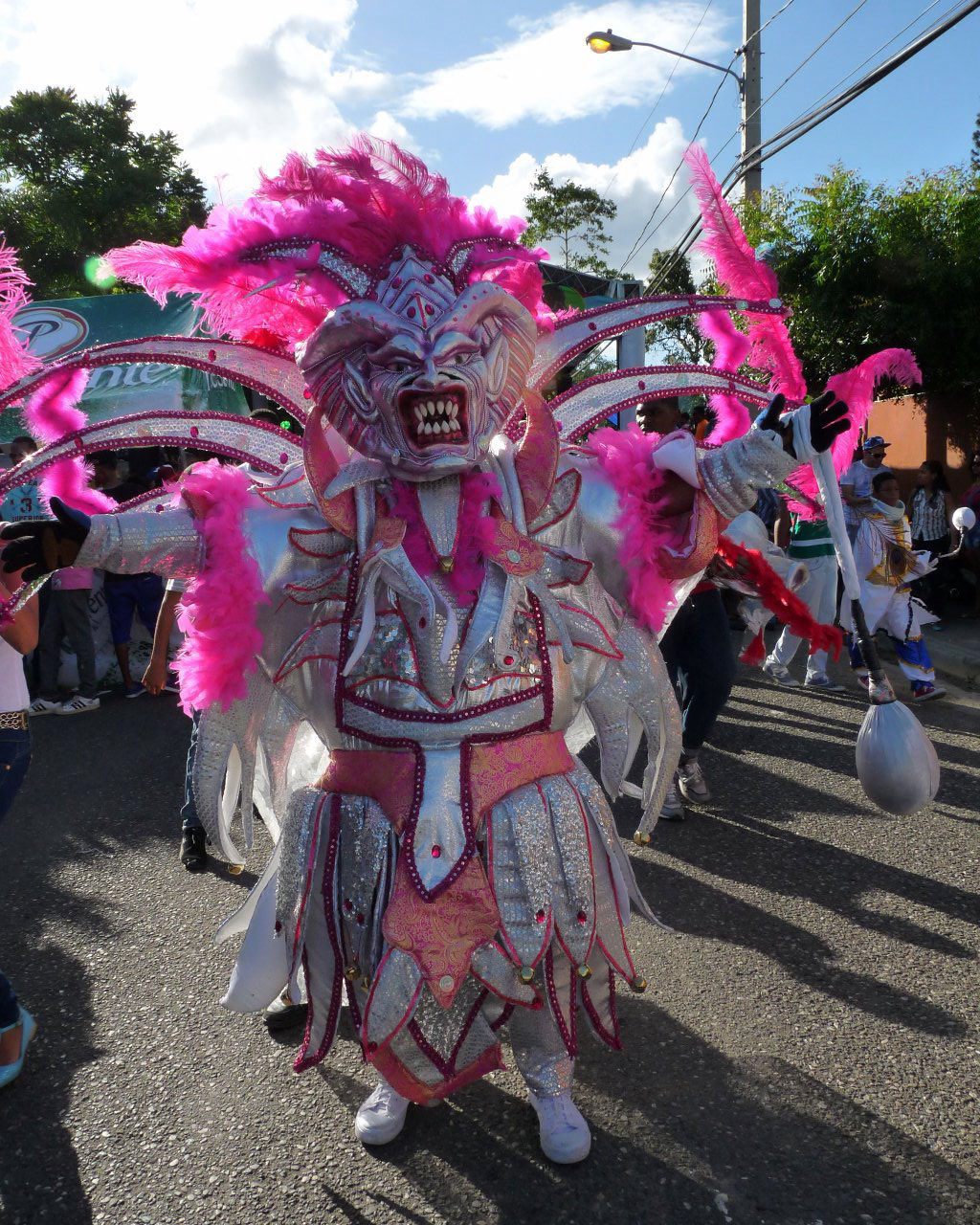 Carnaval Vegano 2015