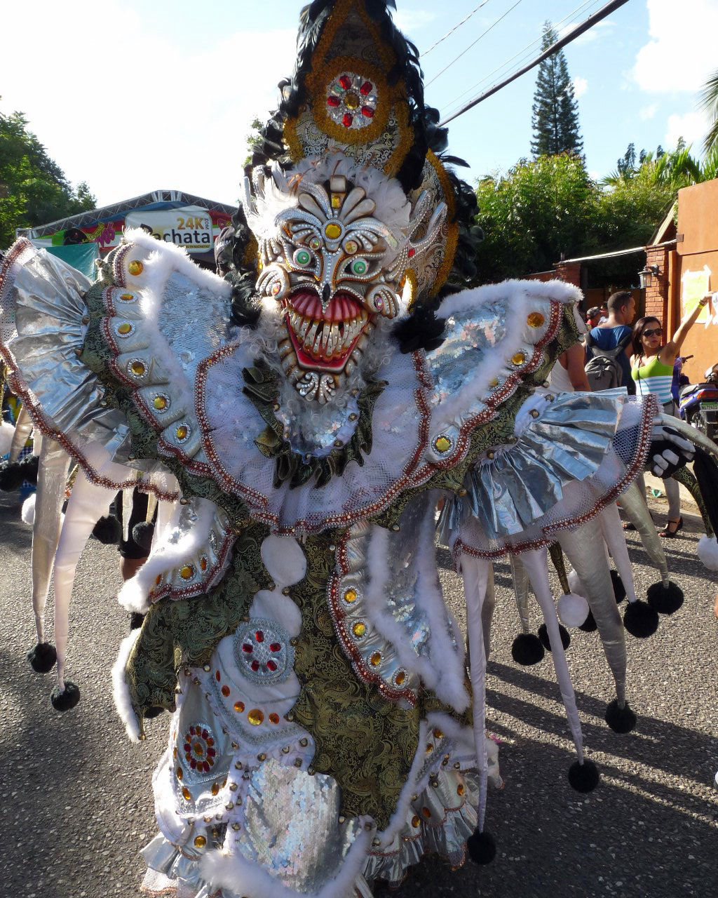 Carnaval Vegano 2015