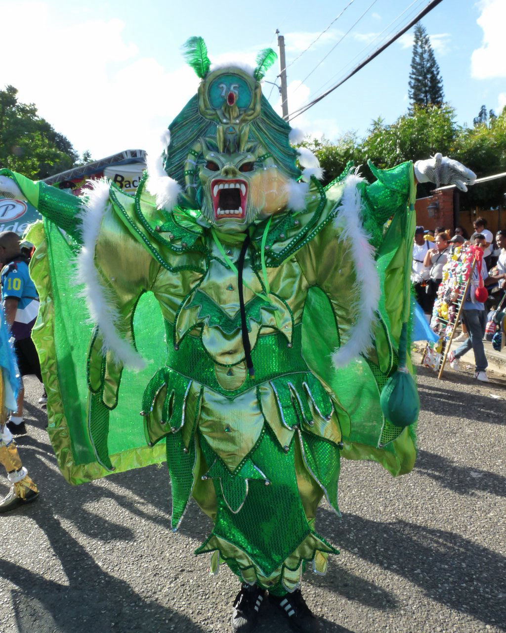Carnaval Vegano 2015