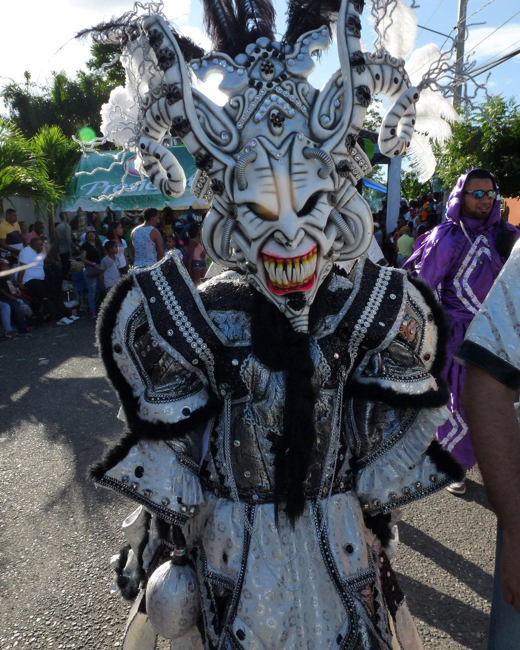 Carnaval Vegano 2015