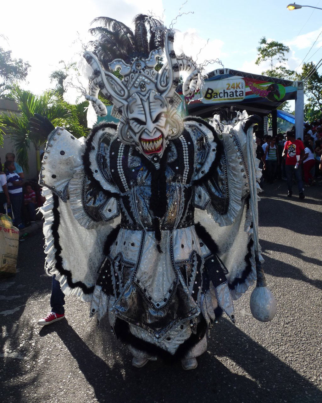 Carnaval Vegano 2015
