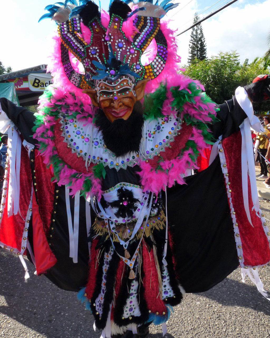 Carnaval Vegano 2015