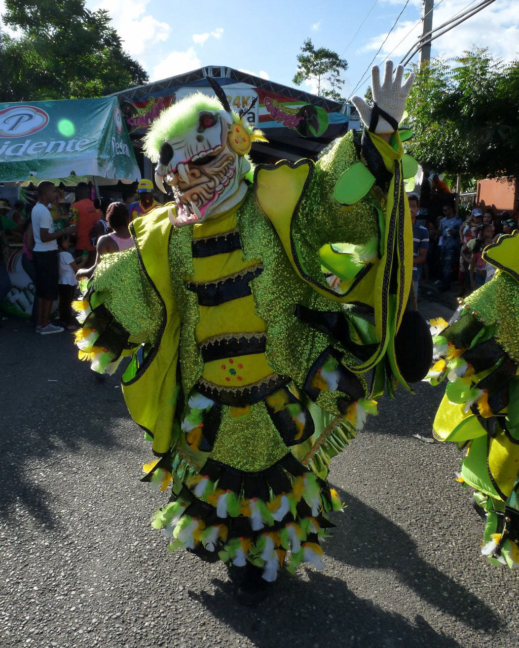 Carnaval Vegano 2015