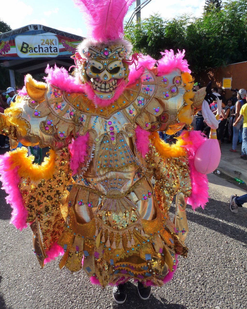 Carnaval Vegano 2015