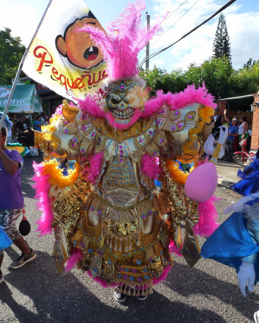 Carnaval Vegano 2015