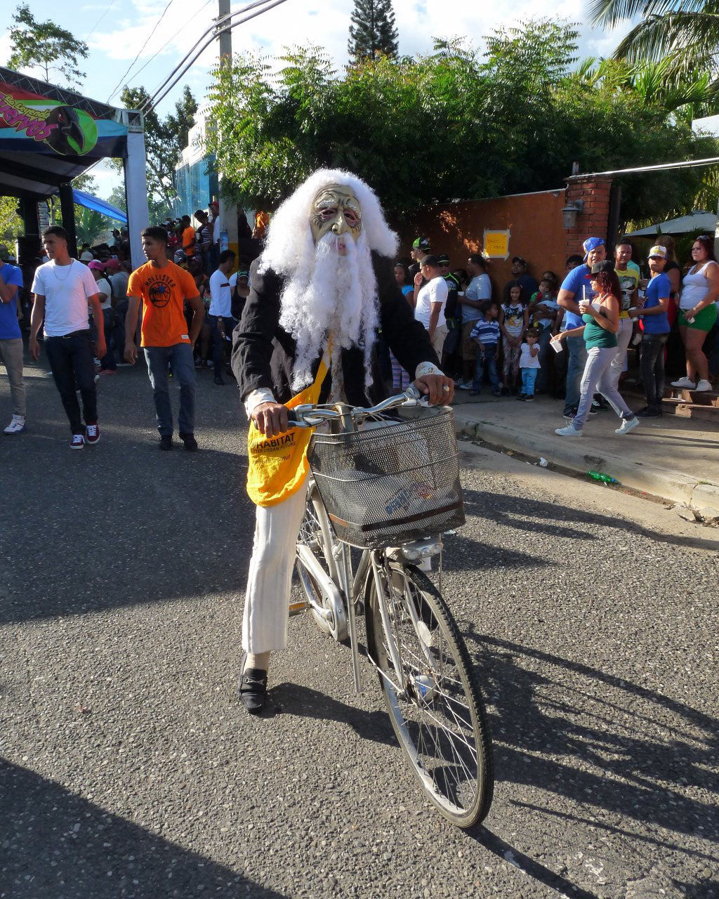 Carnaval Vegano 2015