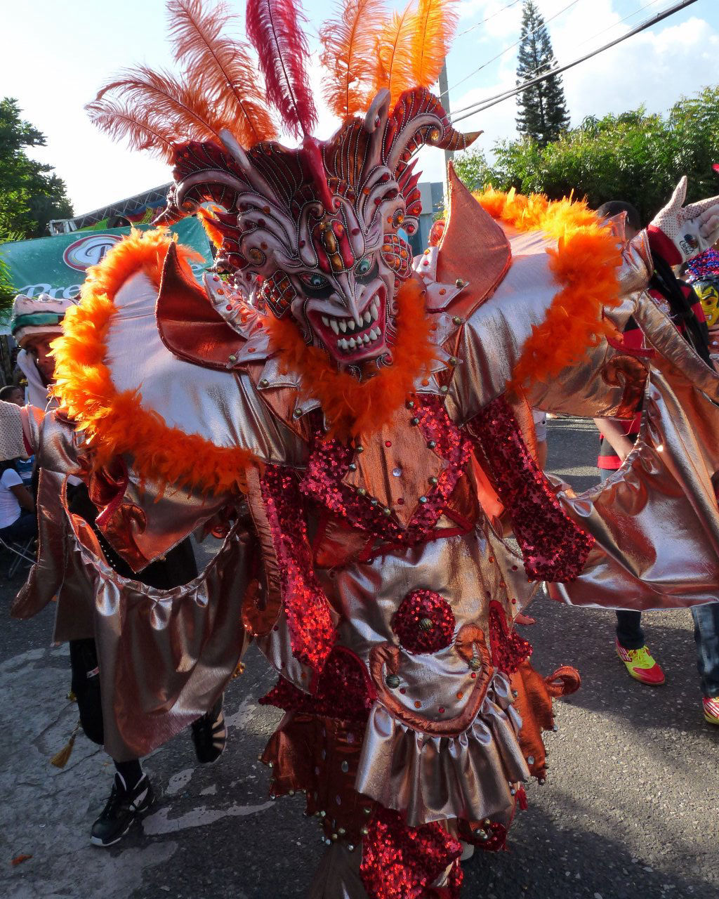 Carnaval Vegano 2015