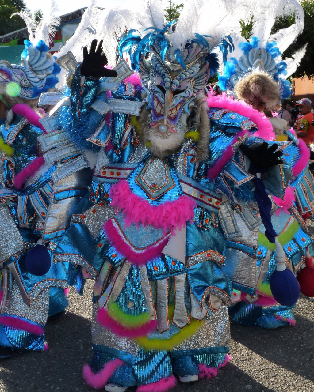 Carnaval Vegano 2015