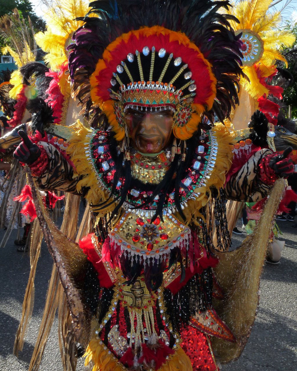 Carnaval Vegano 2015