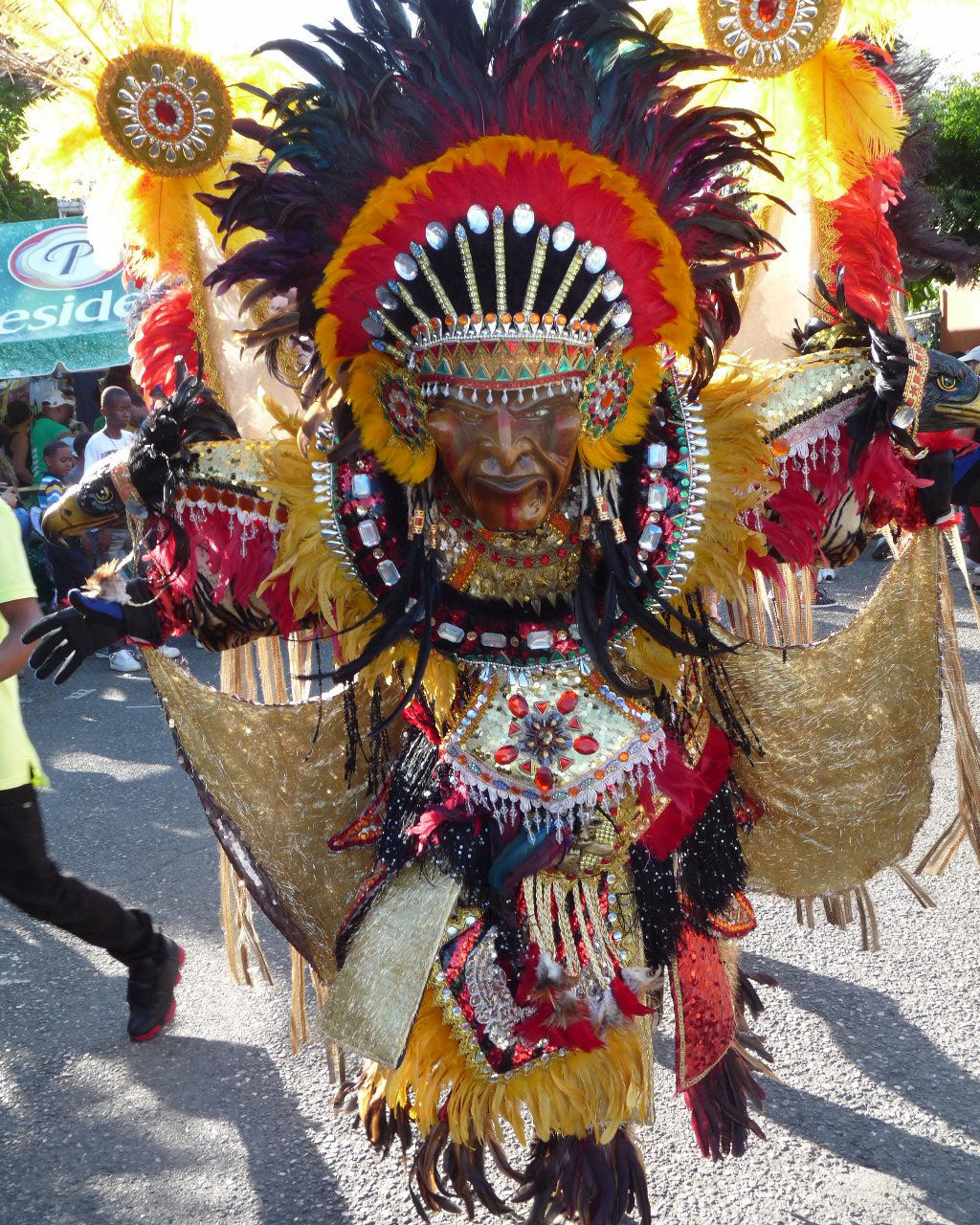 Carnaval Vegano 2015