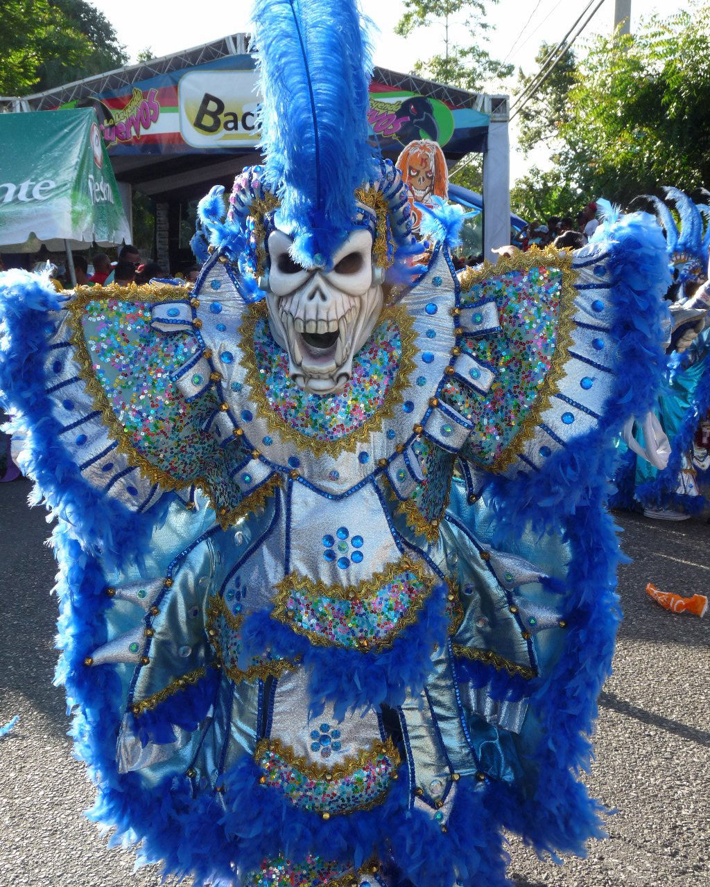 Carnaval Vegano 2015