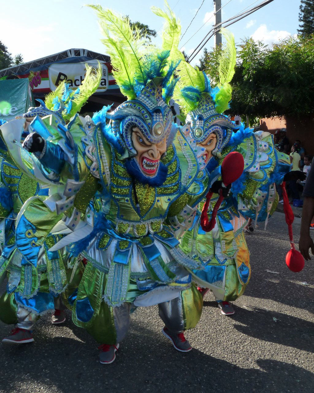 Carnaval Vegano 2015