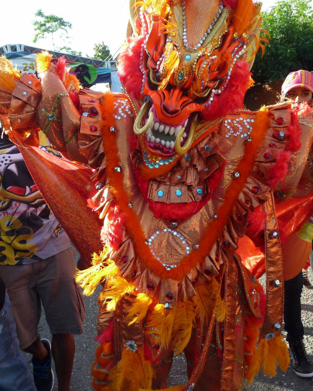 Carnaval Vegano 2015