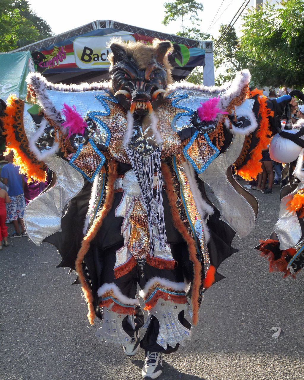 Carnaval Vegano 2015