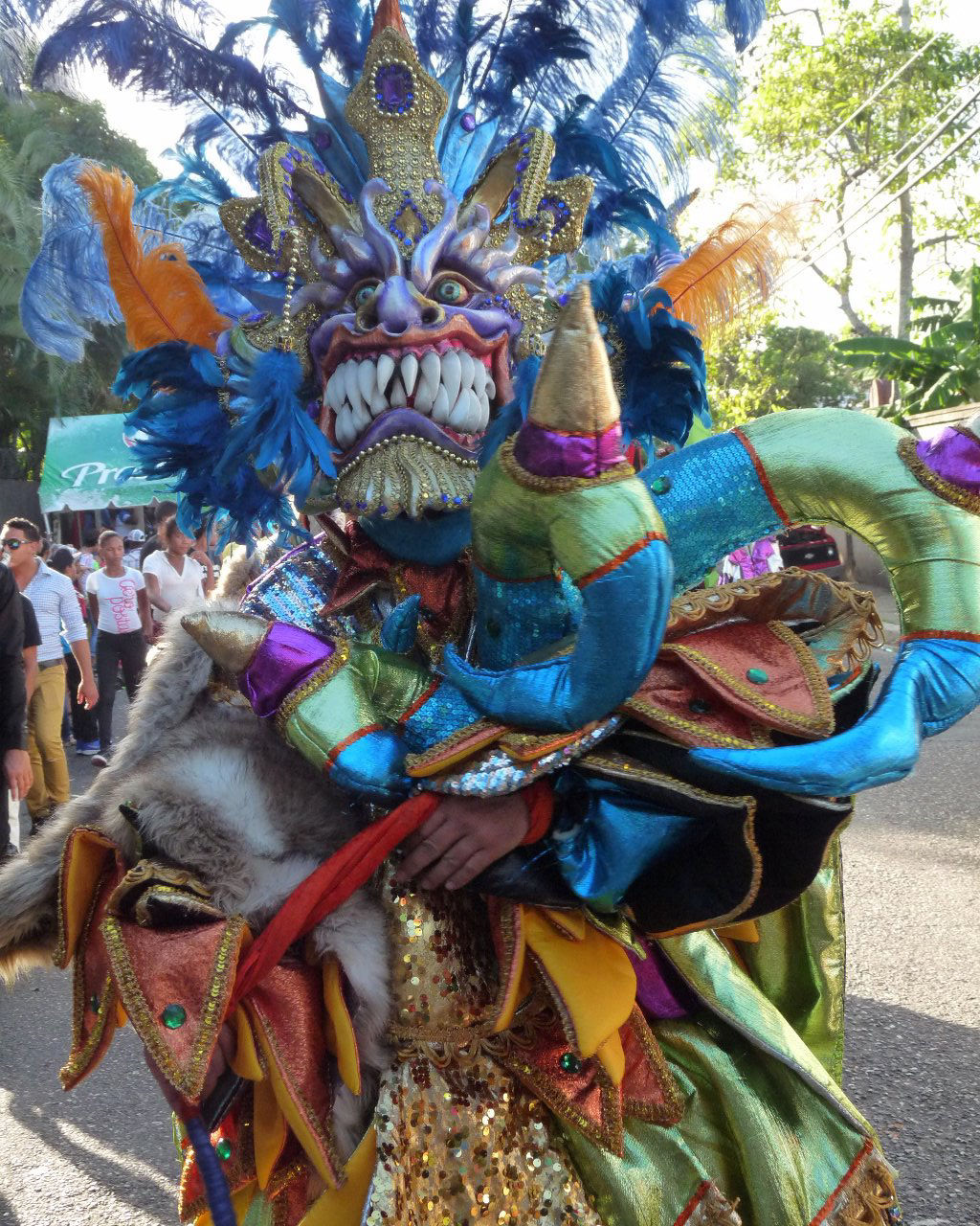 Carnaval Vegano 2015