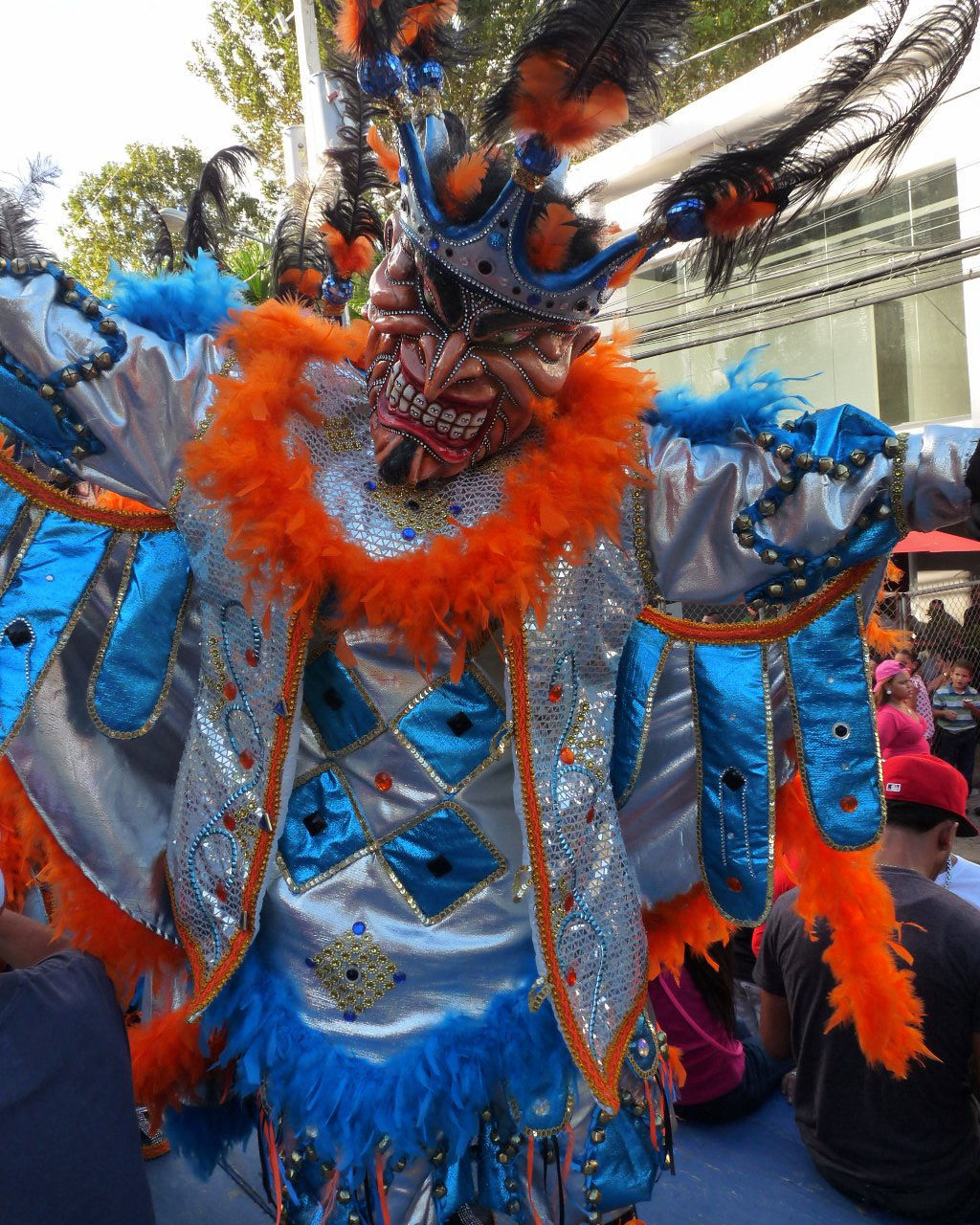 Carnaval Vegano 2015