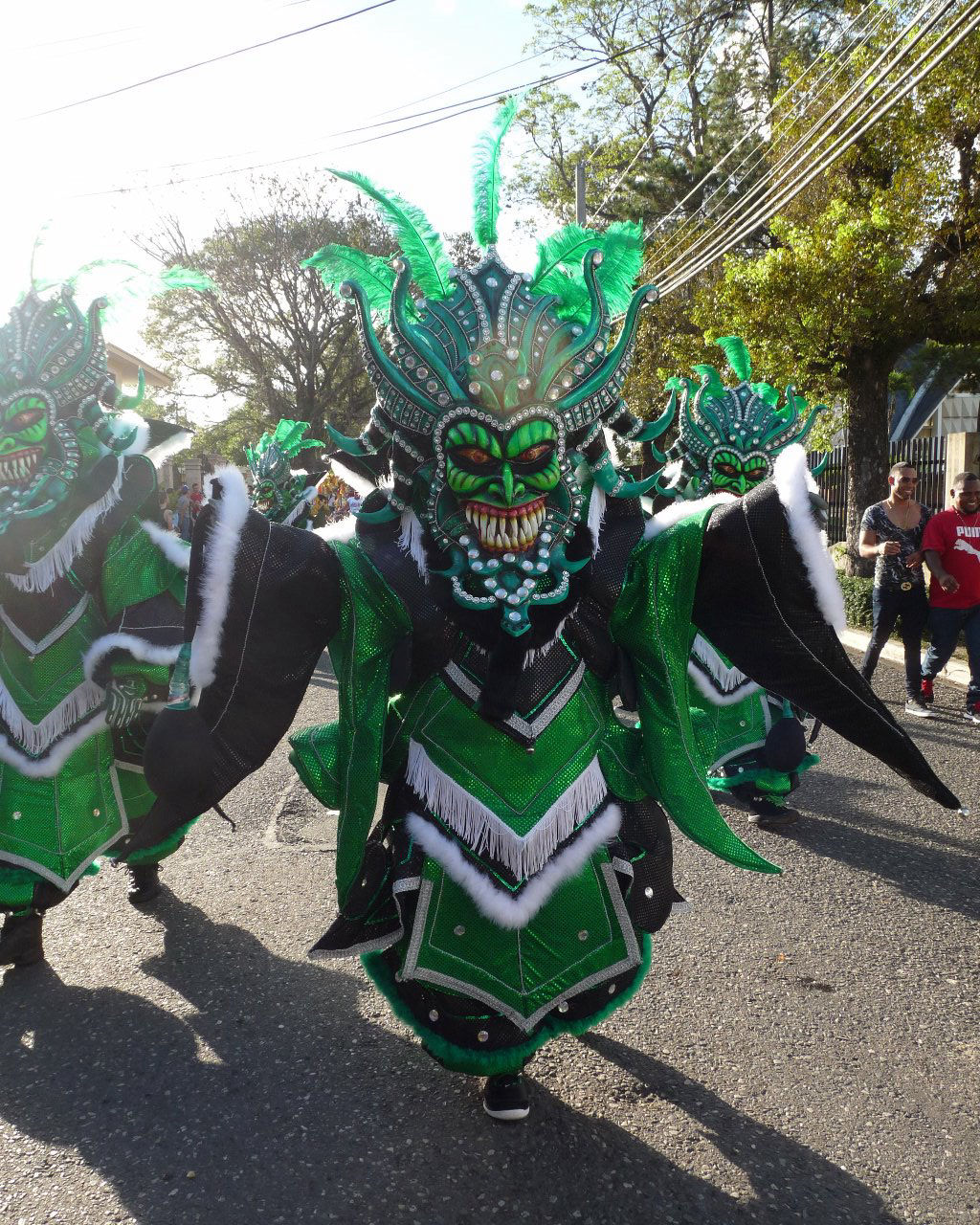 Carnaval Vegano 2015