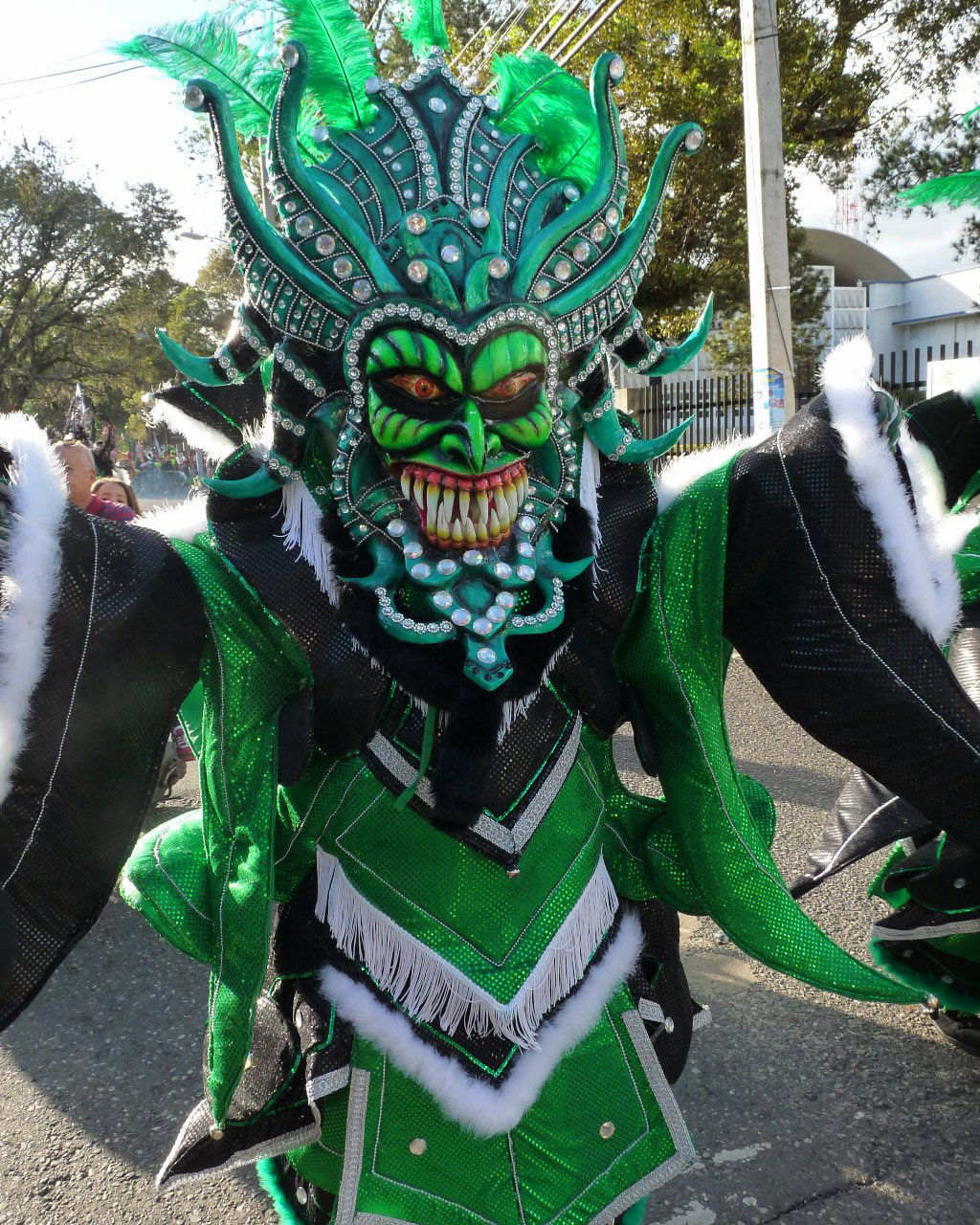 Carnaval Vegano 2015