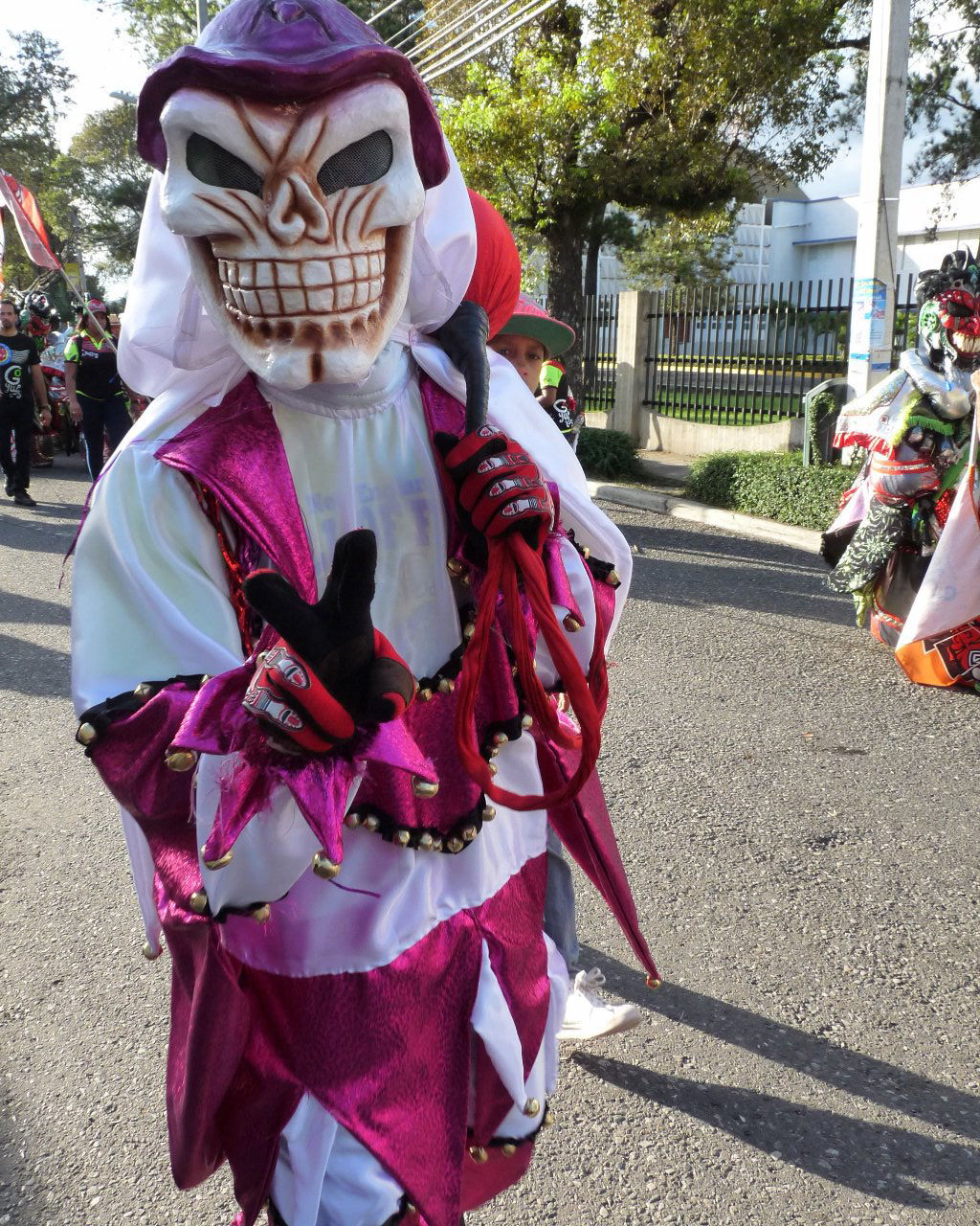 Carnaval Vegano 2015