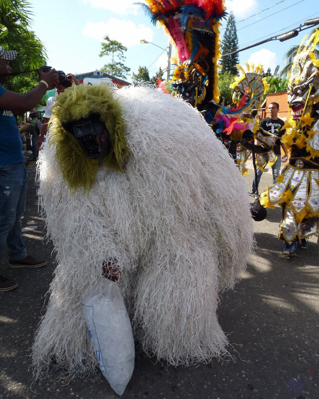Carnaval Vegano 2015
