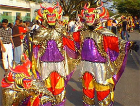 El Carnaval Vegano en Republica Dominicana