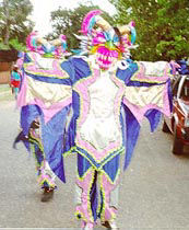 El Carnaval Vegano en Republica Dominicana