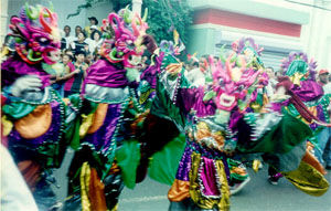 El Carnaval Vegano en Republica Dominicana