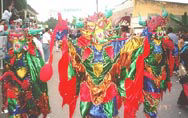 El Carnaval Vegano en Republica Dominicana