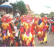 El Carnaval Vegano en Republica Dominicana