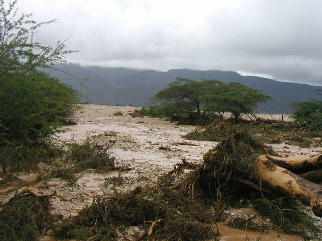 Fotos de Inundaciones Area de Jimaní, Republica Dominicana Mayo 24, 2004