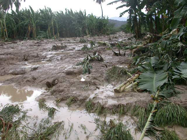 Fotos de Inundaciones Area de Jimaní, Republica Dominicana Mayo 24, 2004