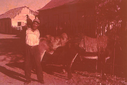 Fotos de Montecristi Republica Dominicana Años 60