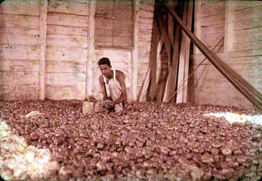 Fotos de Montecristi Republica Dominicana Años 60