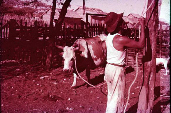 Fotos de Montecristi Republica Dominicana Años 60