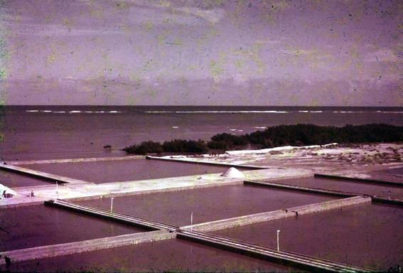 Fotos de Montecristi Republica Dominicana Años 60