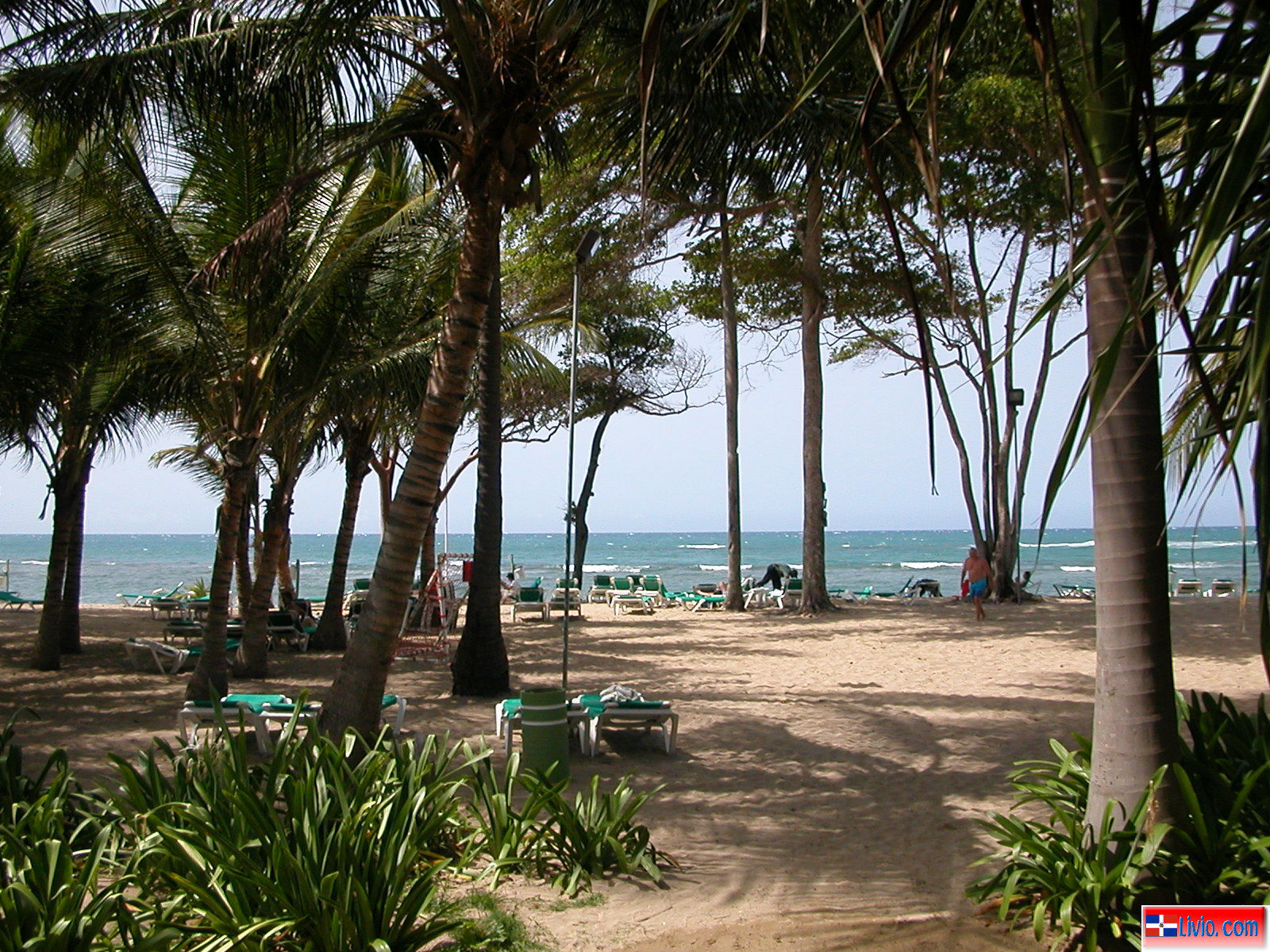 Fotos de Maimon Puerto Plata, Santiago, La Vega, Sosua, Manabao-Jarabacoa y Presa de Taveras.
