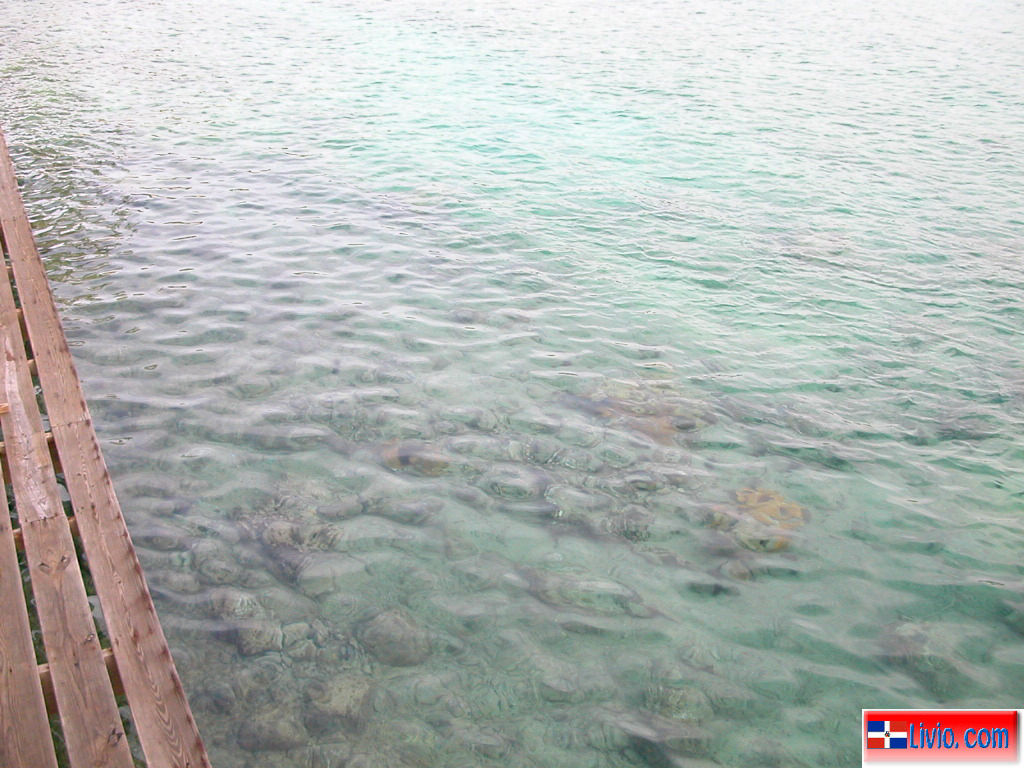 Fotos de Maimon Puerto Plata, Santiago, La Vega, Sosua, Manabao-Jarabacoa y Presa de Taveras.